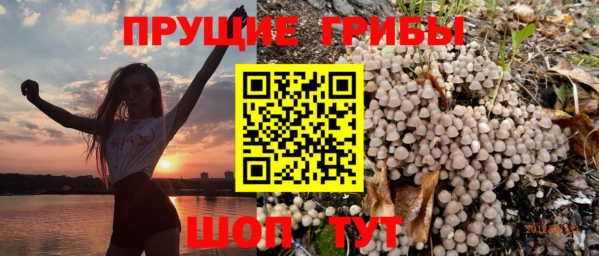 Арсеньев  Галлюциногенные грибы ЛСД  Псилоцибиновые грибы Cubensis  Вход с VPN 