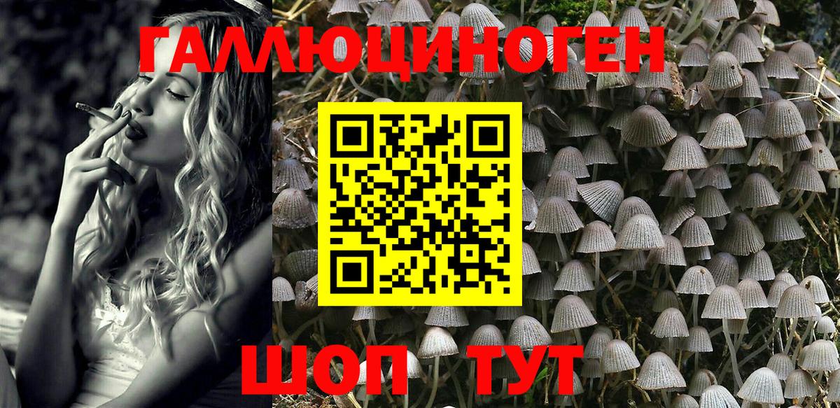 Псилоцибиновые грибы мухоморы Арсеньев